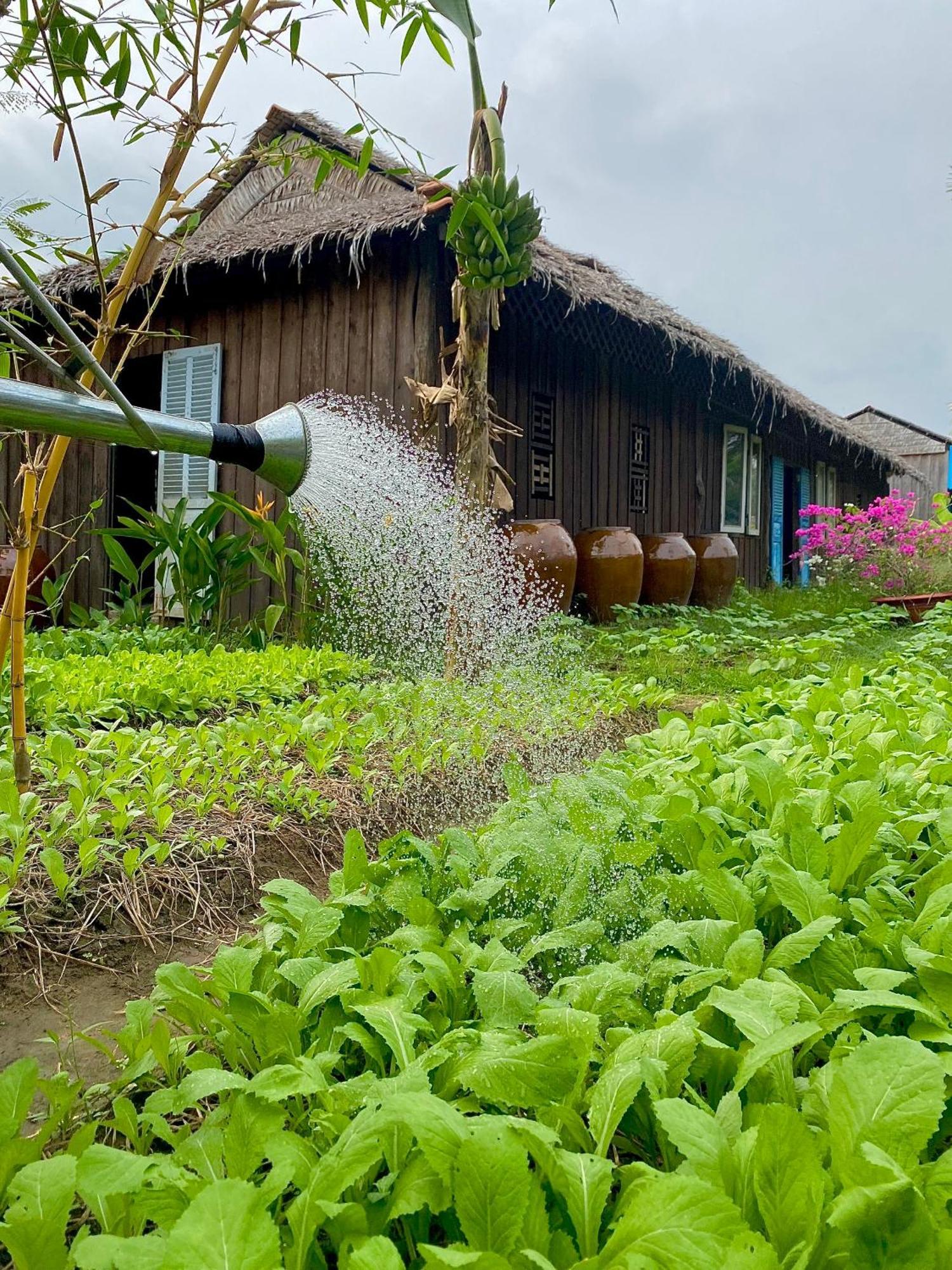 Mekong Silt Ecolodge Cần Thơ Kültér fotó