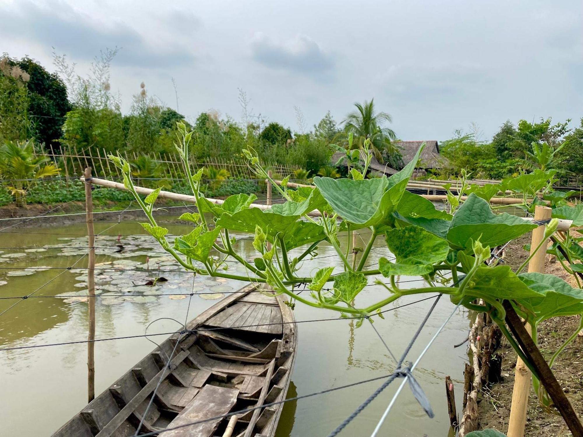 Mekong Silt Ecolodge Cần Thơ Kültér fotó